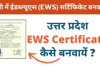 How to get EWS certificate in UP