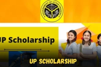 UP Scholarship