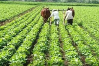 Kisan Sampada Yojana