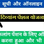 Viklang Pension Yojana