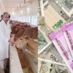 Bihar Desi Gaupalan Protsahan Yojana